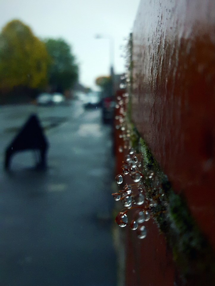 wp-1445460037343 image