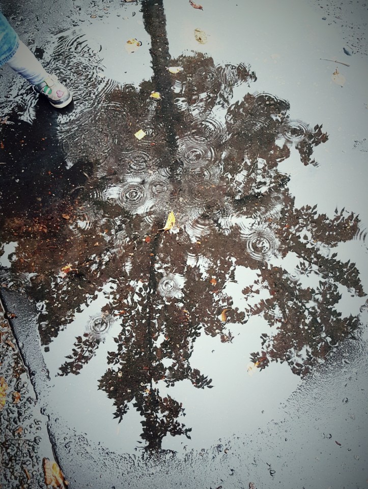 wp-1445460108396 image