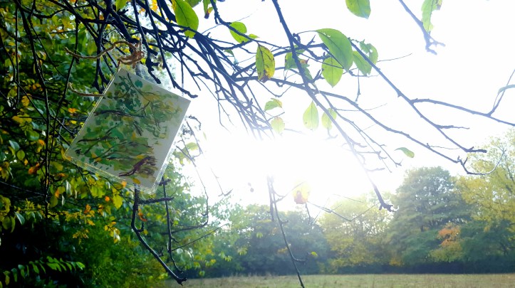 wp-1445538781534 image