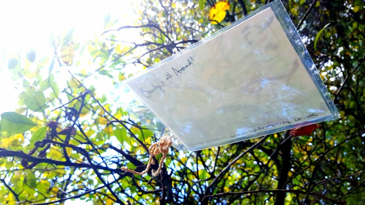 wp-1445538885077 image