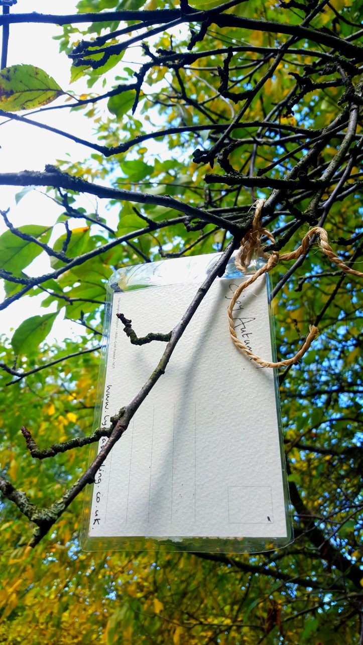 wp-1445538910803 image