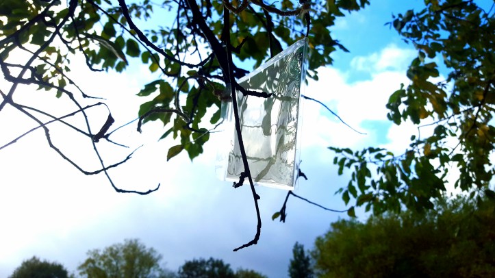 wp-1445539411932 image