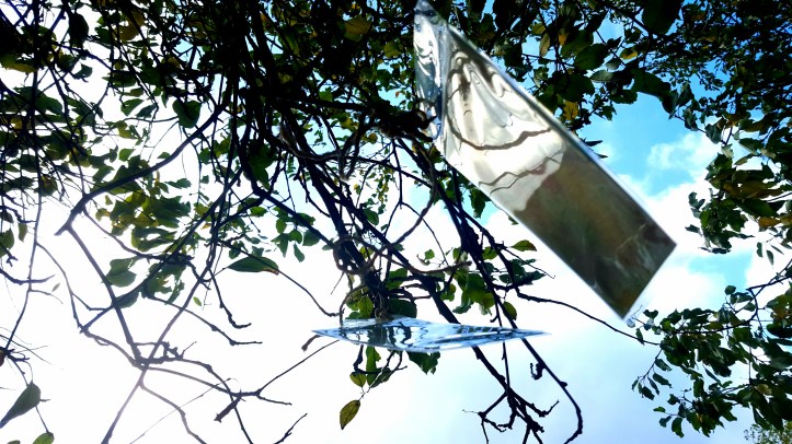 wp-1445539419041 image