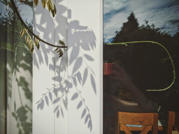 IMG_20170716_194428_508