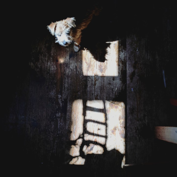 IMG_20170717_204450_502