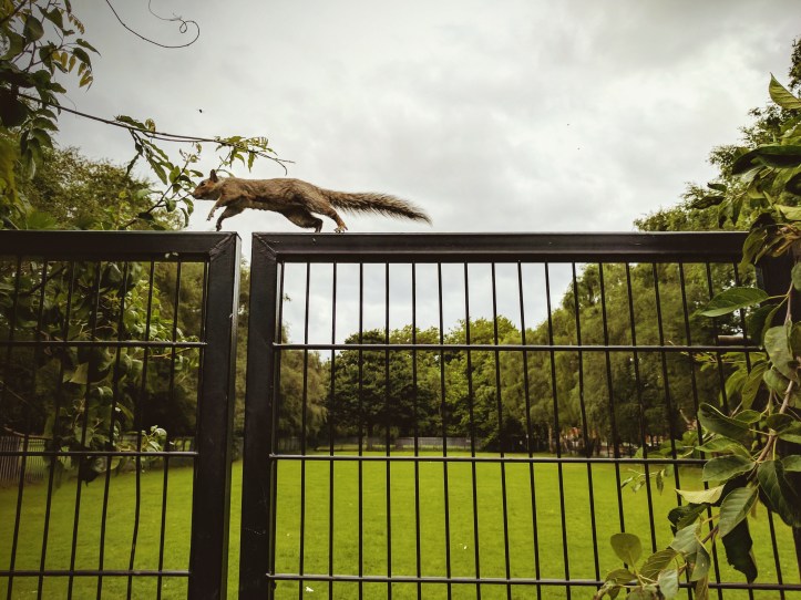 IMG_20170720_185233_224