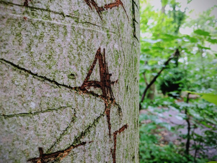 IMG_20170727_230926_085