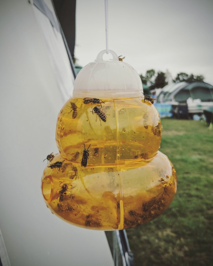 IMG_20170802_203629_324