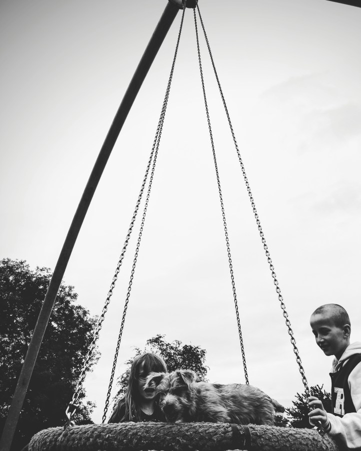 IMG_20170806_222457_739