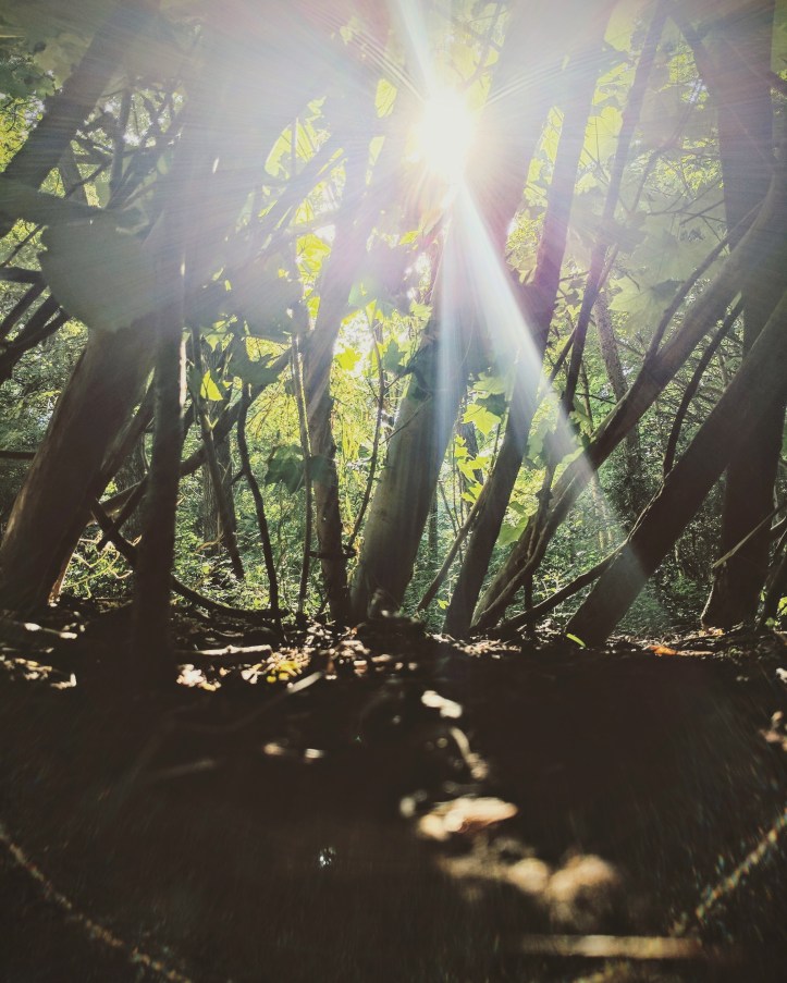 IMG_20170810_234420_027