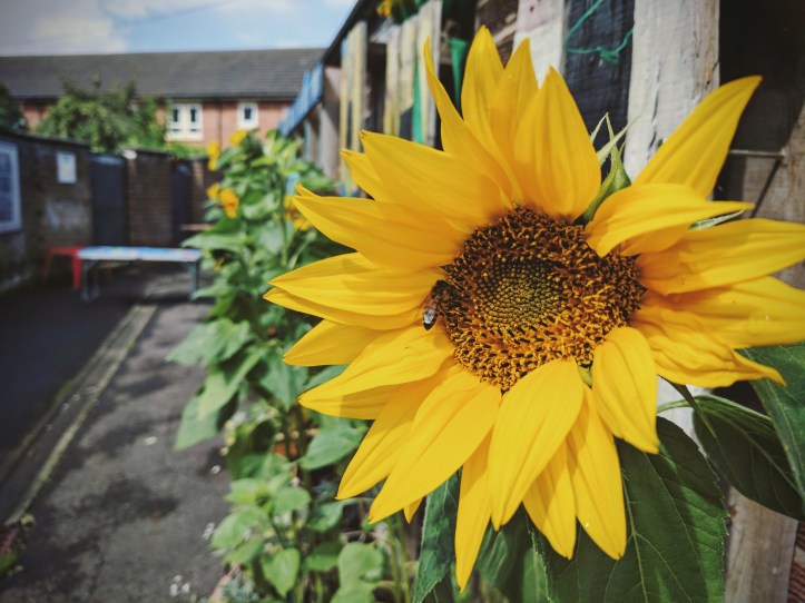 IMG_20170812_224811_762