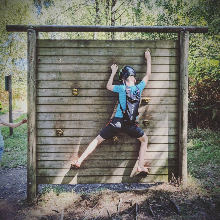 IMG_20170822_120147_973