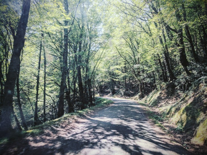 IMG_20170826_091807_043