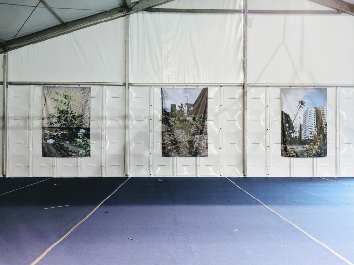 MVIMG_20190726_191915